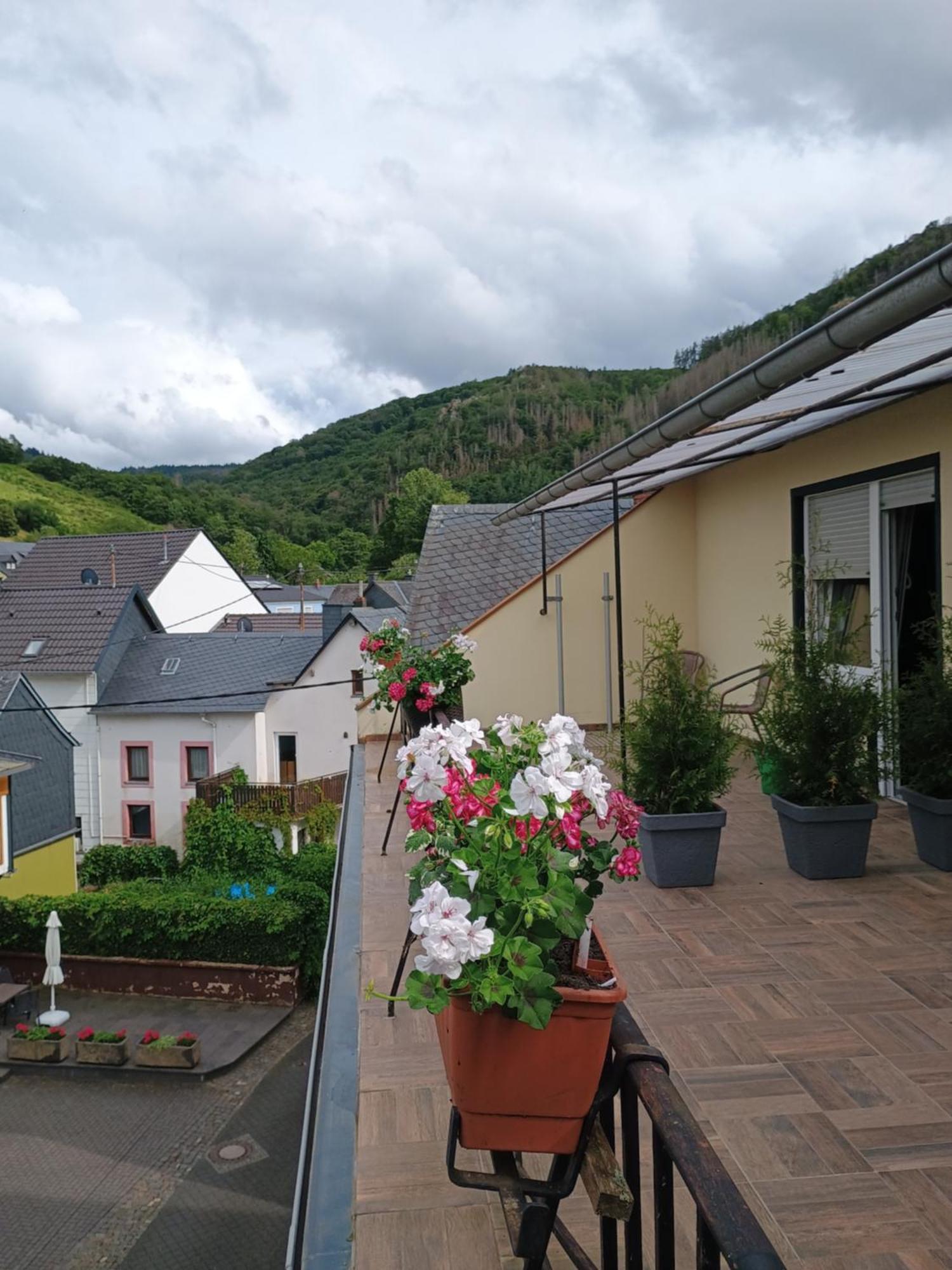 Gasthof Zur Grafschaft Veldenz エクステリア 写真